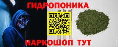 PSILOCYBIN Краснознаменск