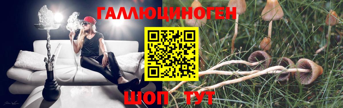 купить наркотики сайты  Галлюциногенные грибы Psilocybe  Калуга  Вход с VPN  Псилоцибиновые грибы MAGIC MUSHROOMS 